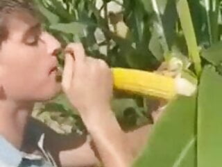 Sucking corn