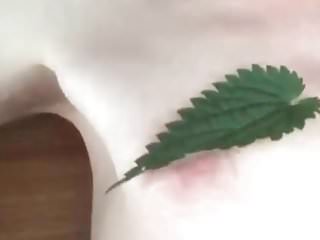 More Nettles to the Nipples