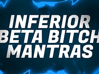 Inferior Beta Bitch Mantras