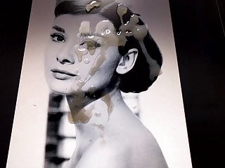 Audrey Hepburn Vintage Cum Tribute Commission