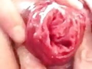 Rose bud anal close up