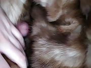 brown mink fur sex