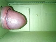 Masturbation whit box 