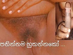 Sri lanka house wife shetyyy black chubby pussy new video on fucking 