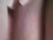 new4