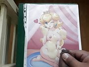 SOP #1 Princess Peach