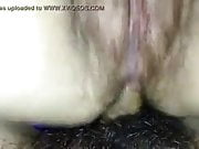 hairy pussy and very hairy ass