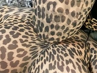 Leopard pantyhose encasement...