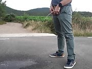 Pissing on the road