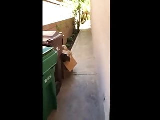 Public Nudity, Doggy Blowjob, Backyard Sex, Doggy Style