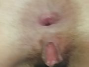 FUNNY GAPING HAIRY PUSSY  ASSHOLE