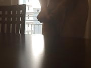 Jacking on dining table 