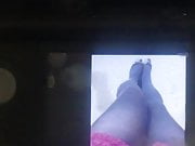 Sarah Sardon's Pantyhose Legs (Cum Tribute)