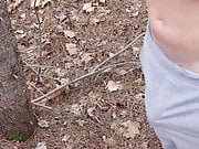 Public Jerkoff in a forest