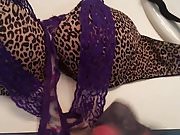 Cum on Tasha's Leopard print bra and lace panties