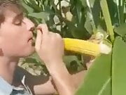 Sucking corn