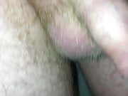 My little dick shows off 