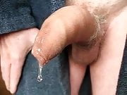 Precum 