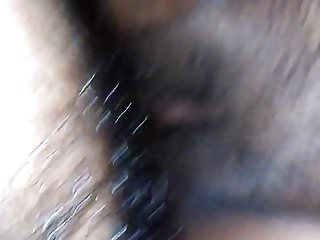 Sexs, Sri Lankan, HD Videos, Sex My