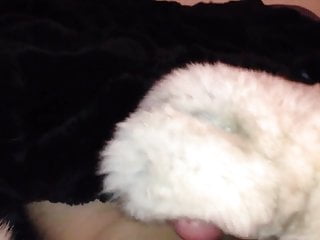 Fur fox gloves