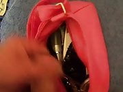 cum inside girlfriends handbag