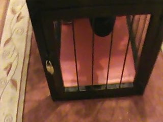 Stocked Slave In A Cage