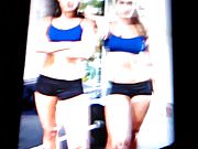 The bella twins tribute