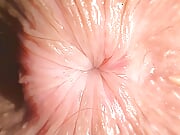 EXTREME CLOSE UP: Teenage butthole is trying to kiss you trough the screen of your IPhone