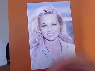 Pamela Anderson Old Cum Tribute In My Pc...