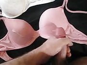 cumming on sisis bras