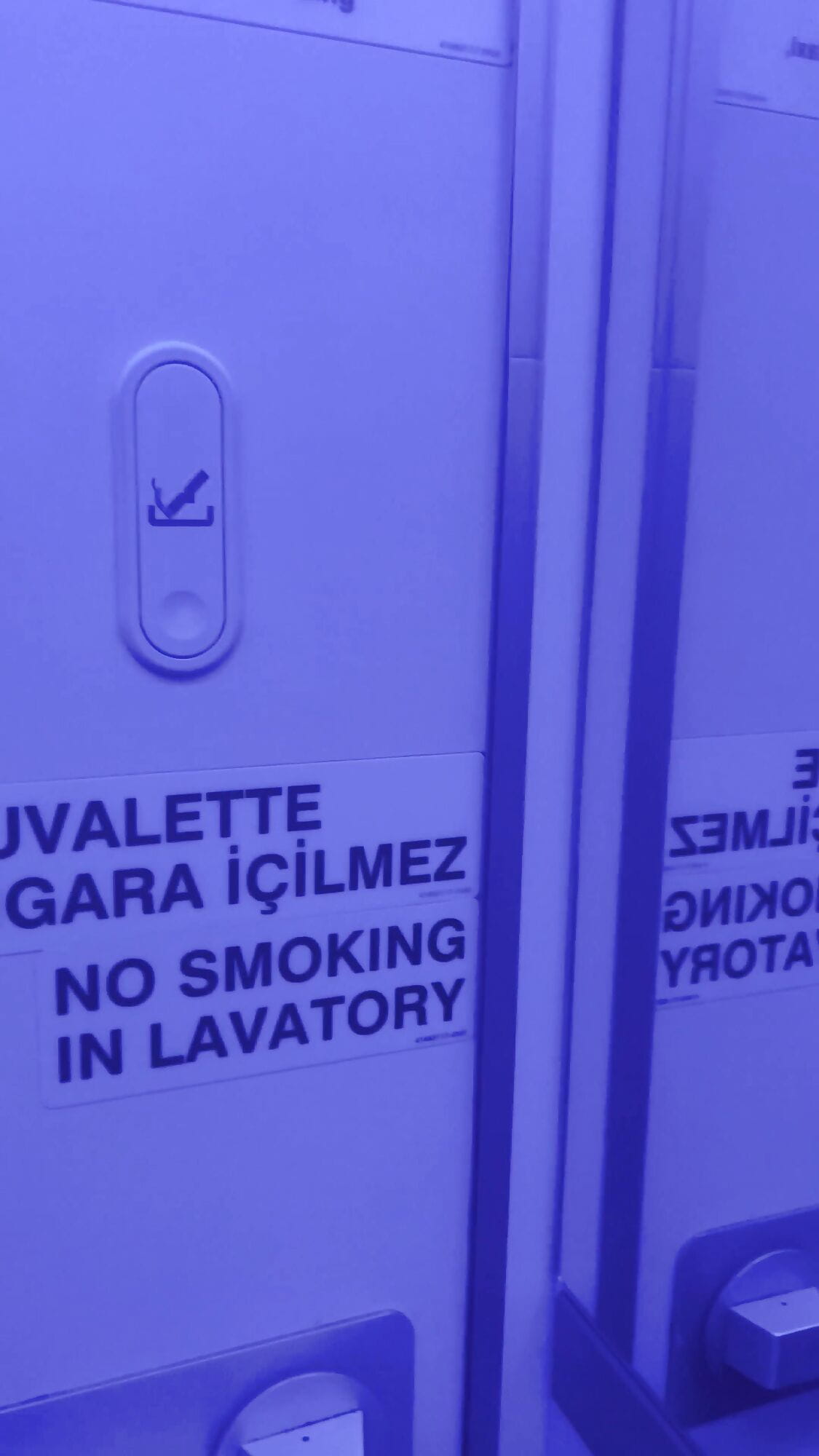 is it normal to masturbate in airplane toilets? - Jasmine SweetArabic