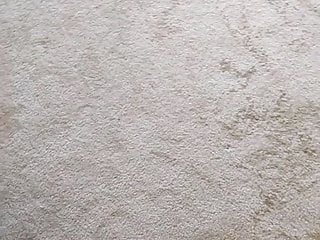 Pissing on my bedroom carpet