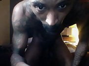 11hundsum 25022020