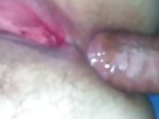 anal open pussy