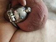 Chastity cage