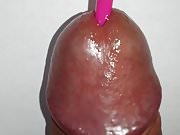 dildo in penis