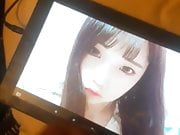 Korea cumtribute 