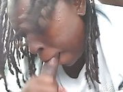 Another Dread head catching nut