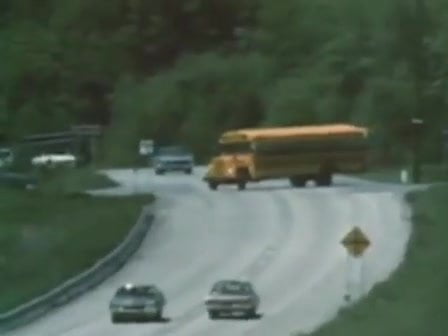 .Teenage Cheerleader (Vintage 1974).