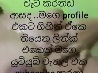 Srilankan Free Sex Chat